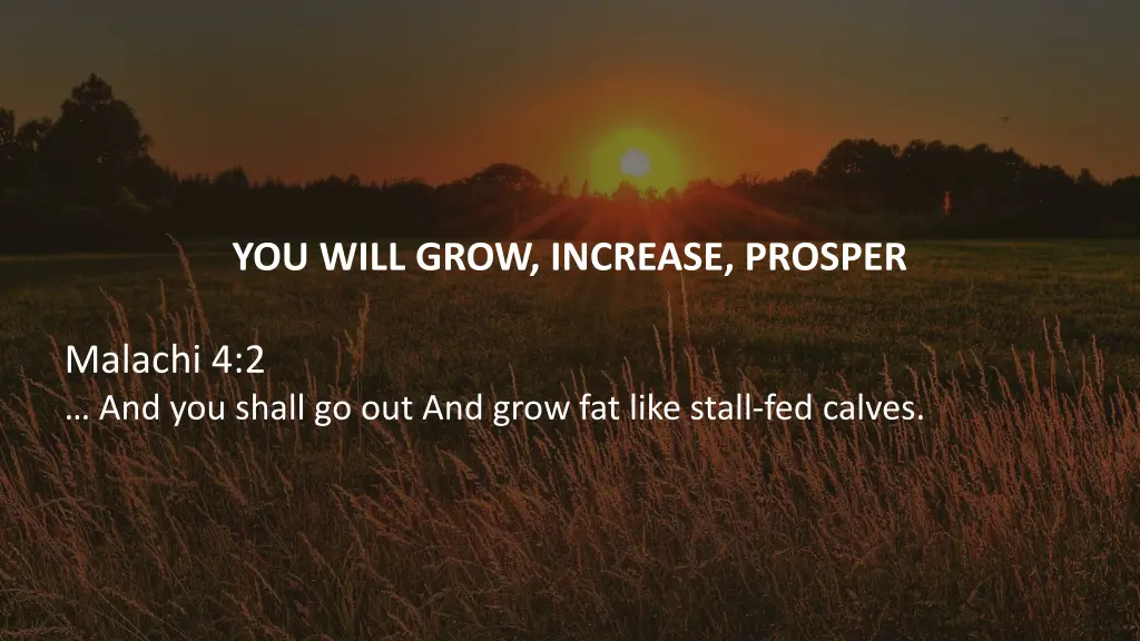 you will grow increase prosper