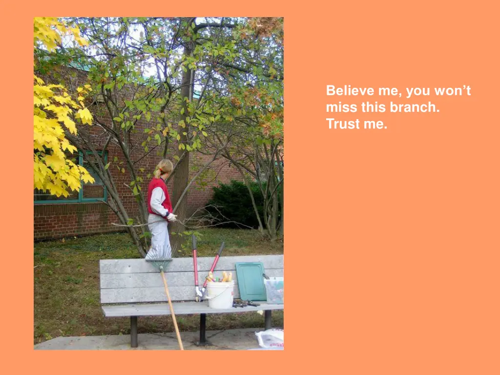 believe me you won t miss this branch trust me