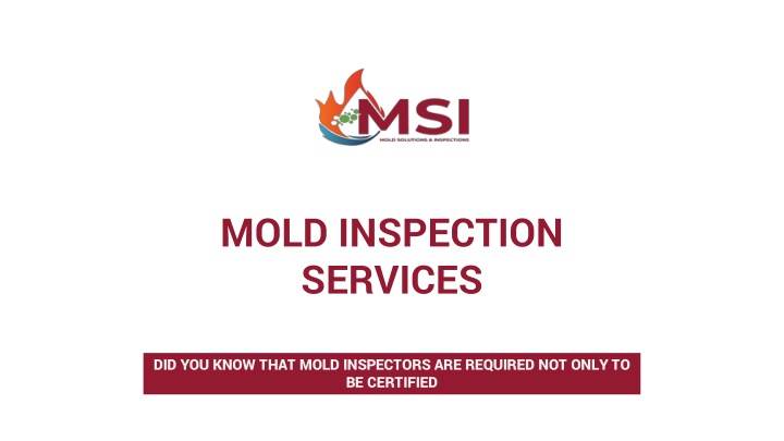 mold inspection services