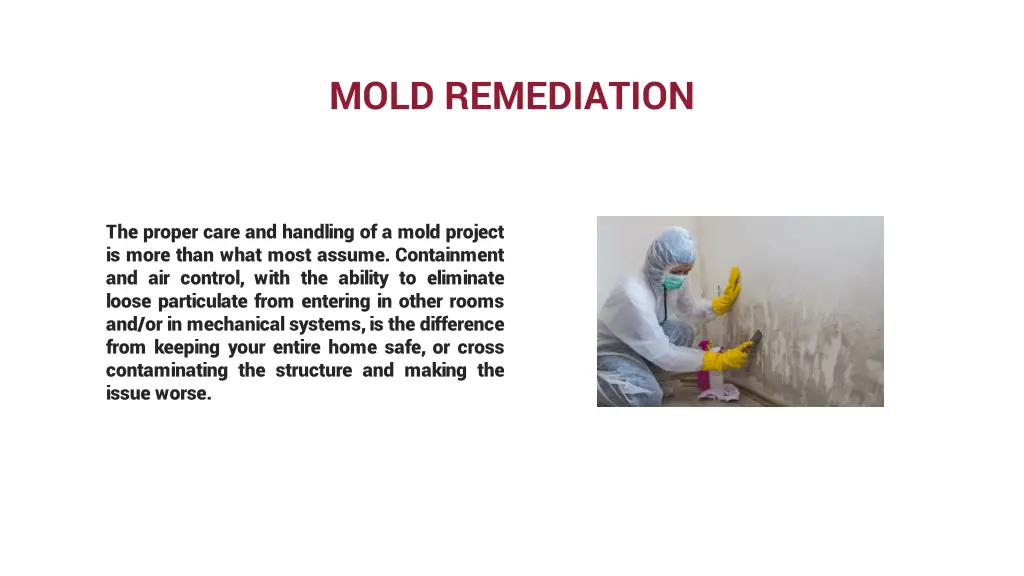 mold remediation