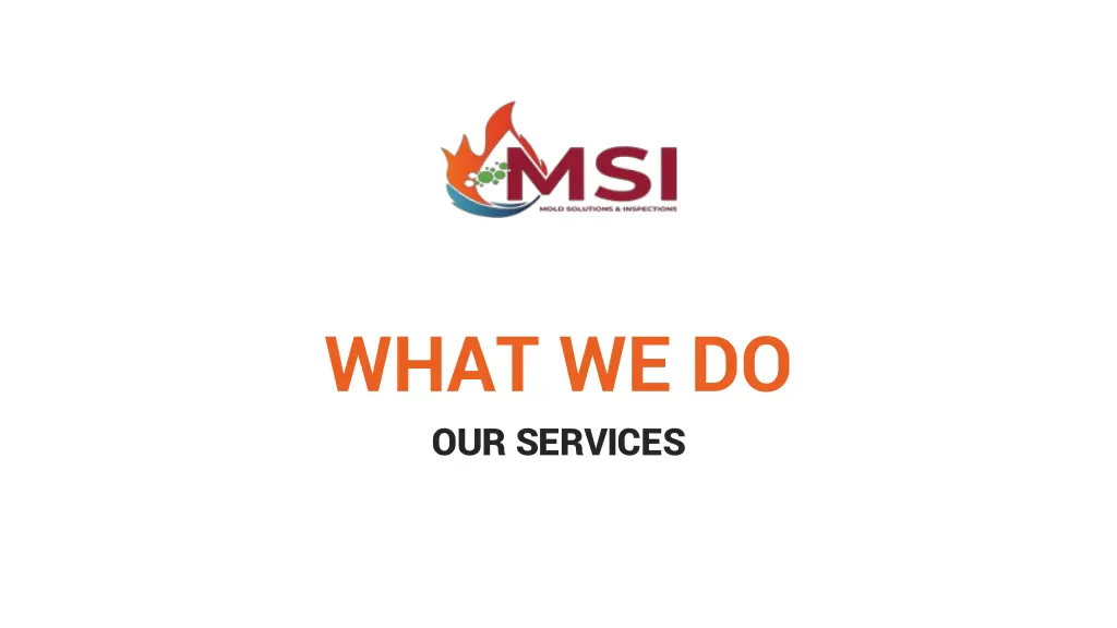 what we do our services