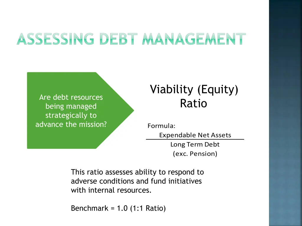 assessing debt management 1