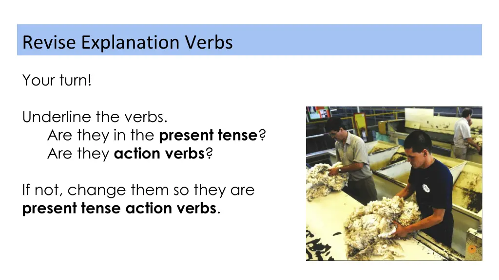 revise explanation verbs