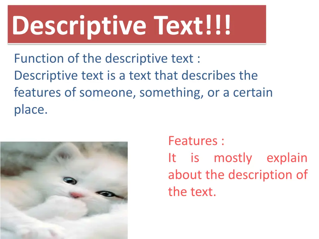 descriptive text