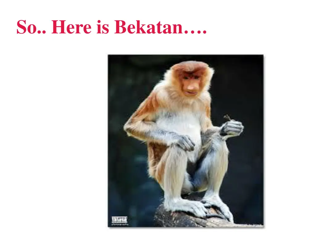 so here is bekatan