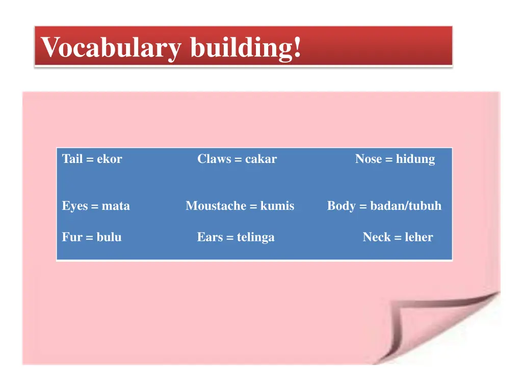 vocabulary building