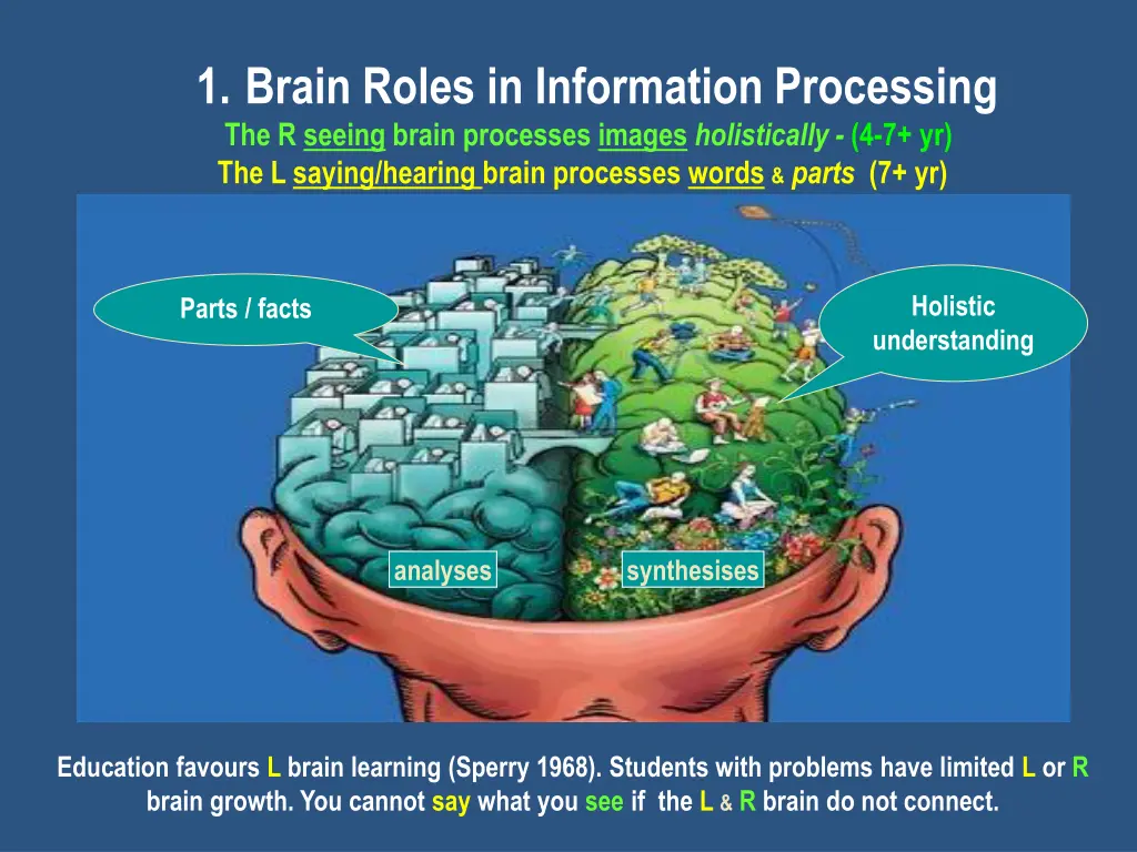 1 brain roles in information processing