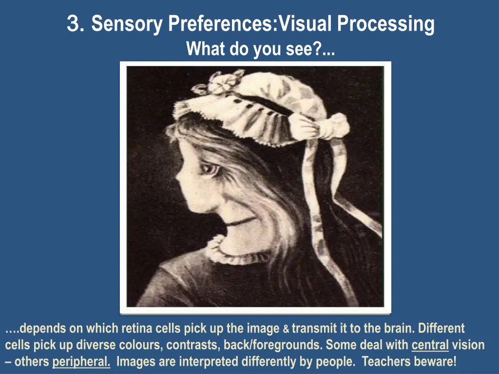 3 3 sensory preferences visual processing what