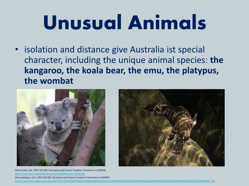 unusual animals