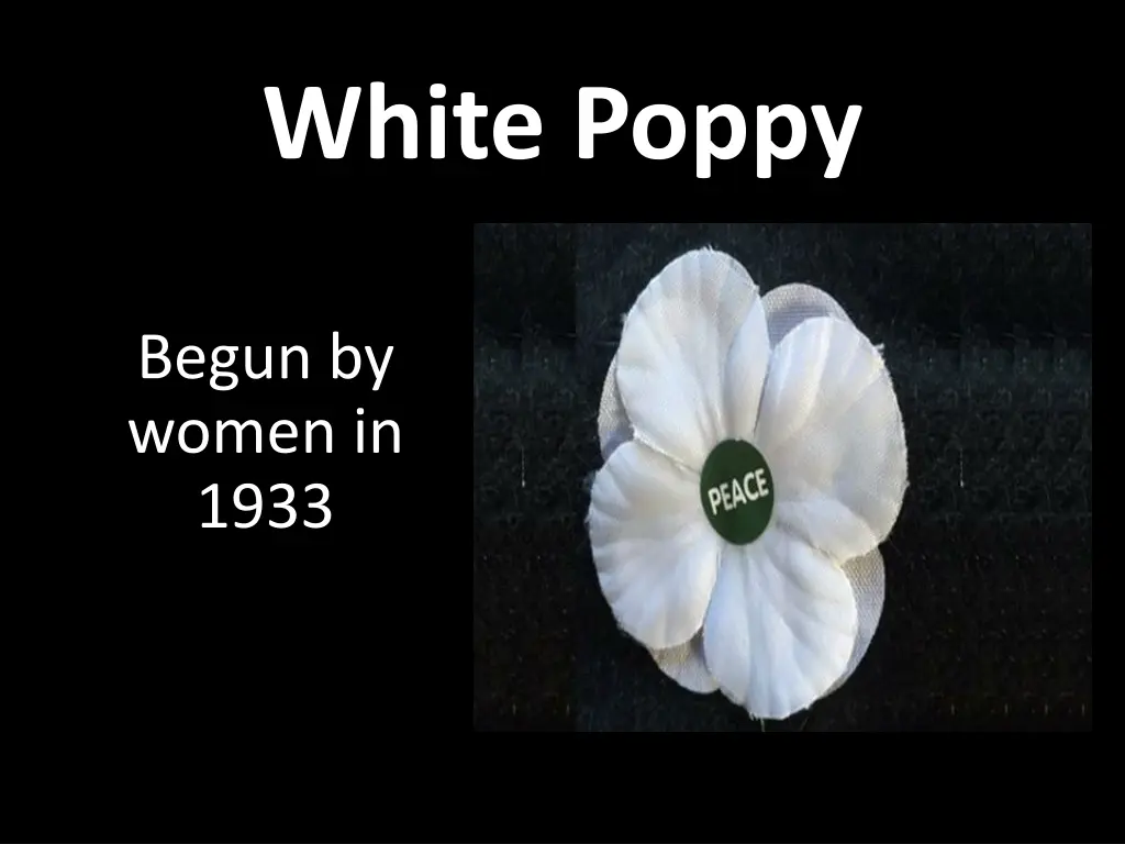 white poppy