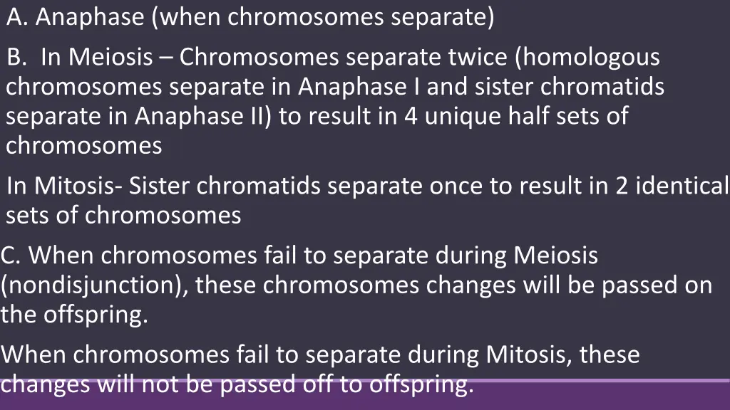 a anaphase when chromosomes separate b in meiosis