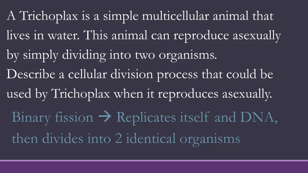 a trichoplax is a simple multicellular animal