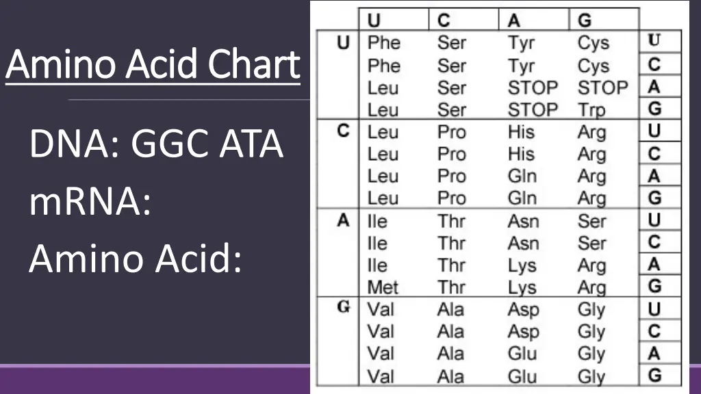 amino acid chart amino acid chart 2