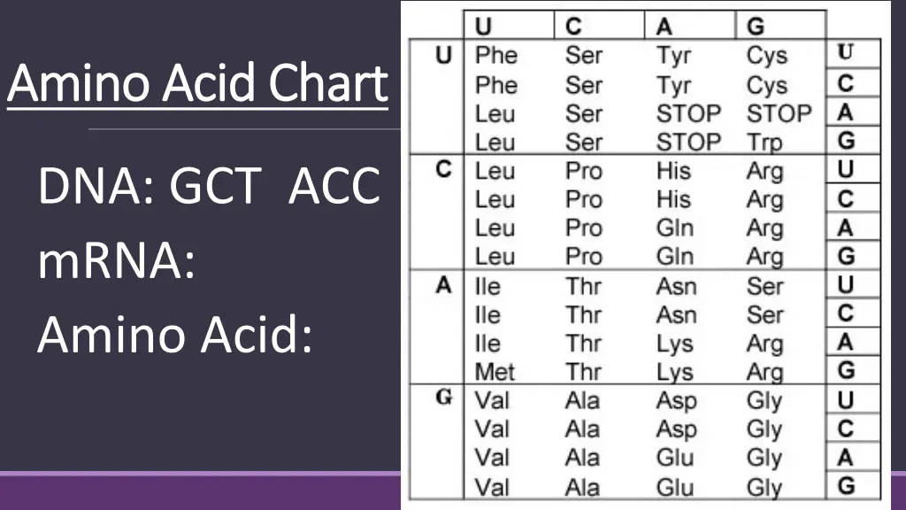 amino acid chart amino acid chart 3