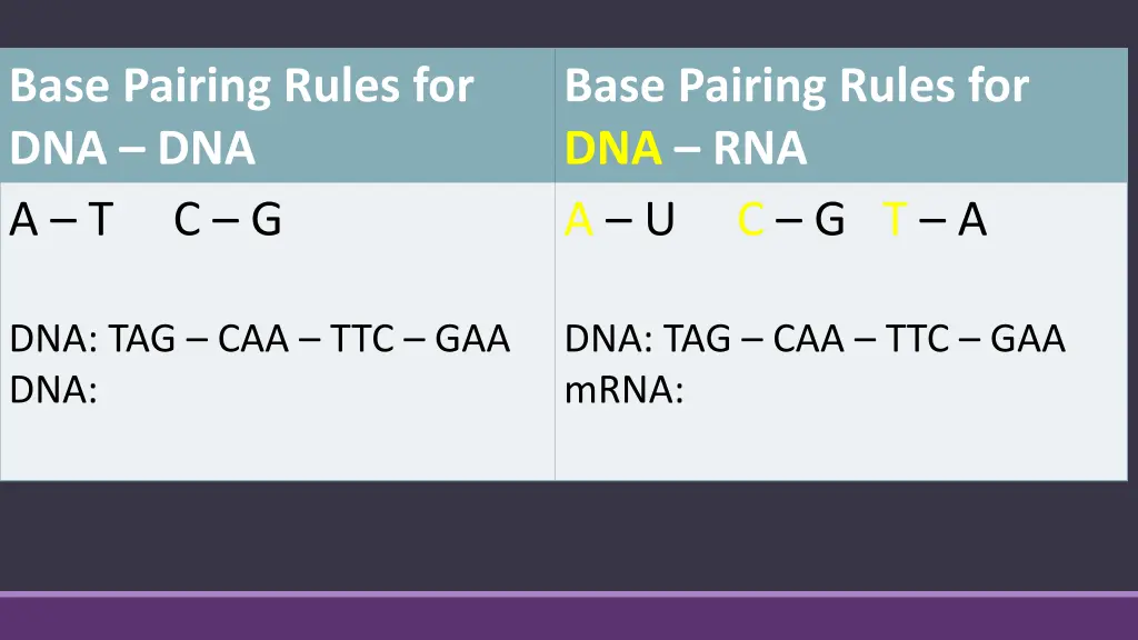 base pairing rules for dna dna a t c g