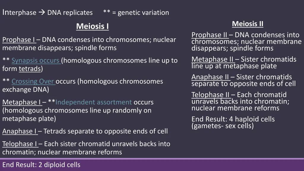 in terphase dna replicates genetic variation