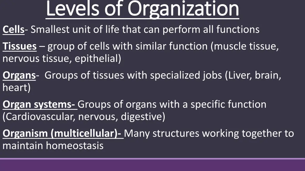 levels of organization levels of organization