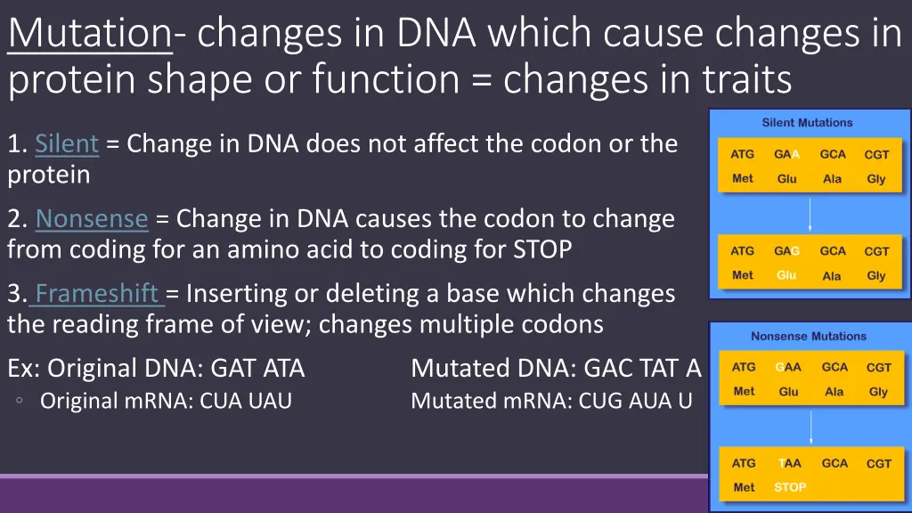 mutation changes in dna which cause changes