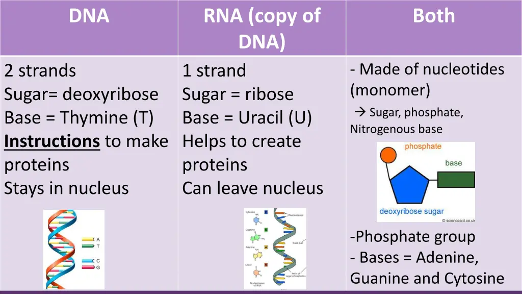 slide11