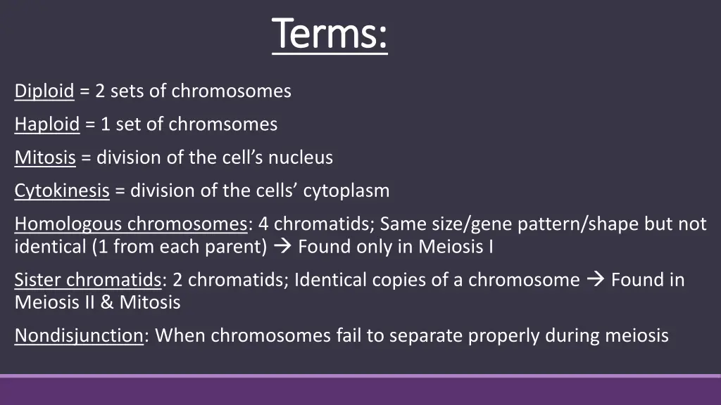 terms terms