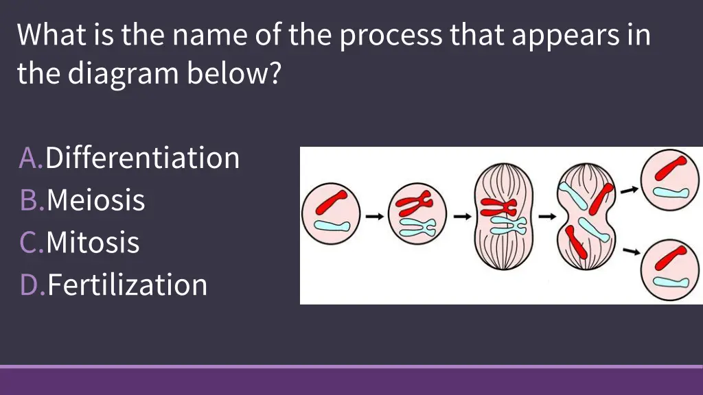 what is the name of the process that appears