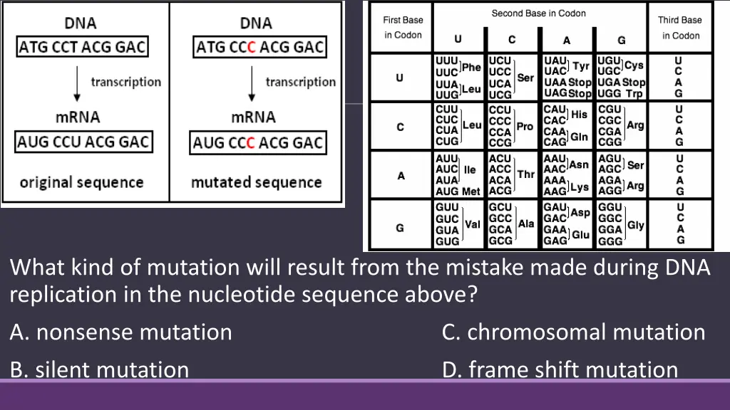 what kind of mutation will result from