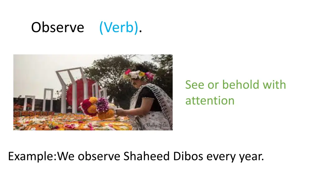 observe verb