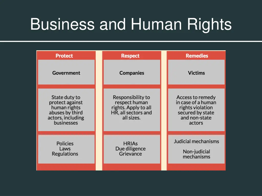 business and human rights 1