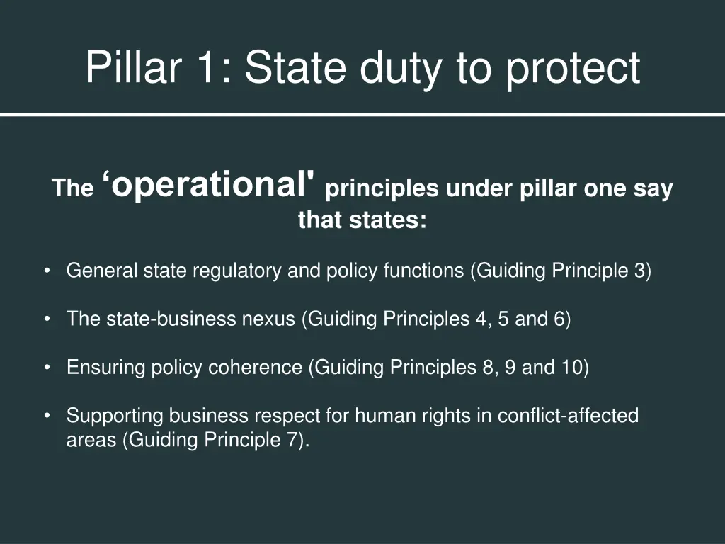 pillar 1 state duty to protect 1