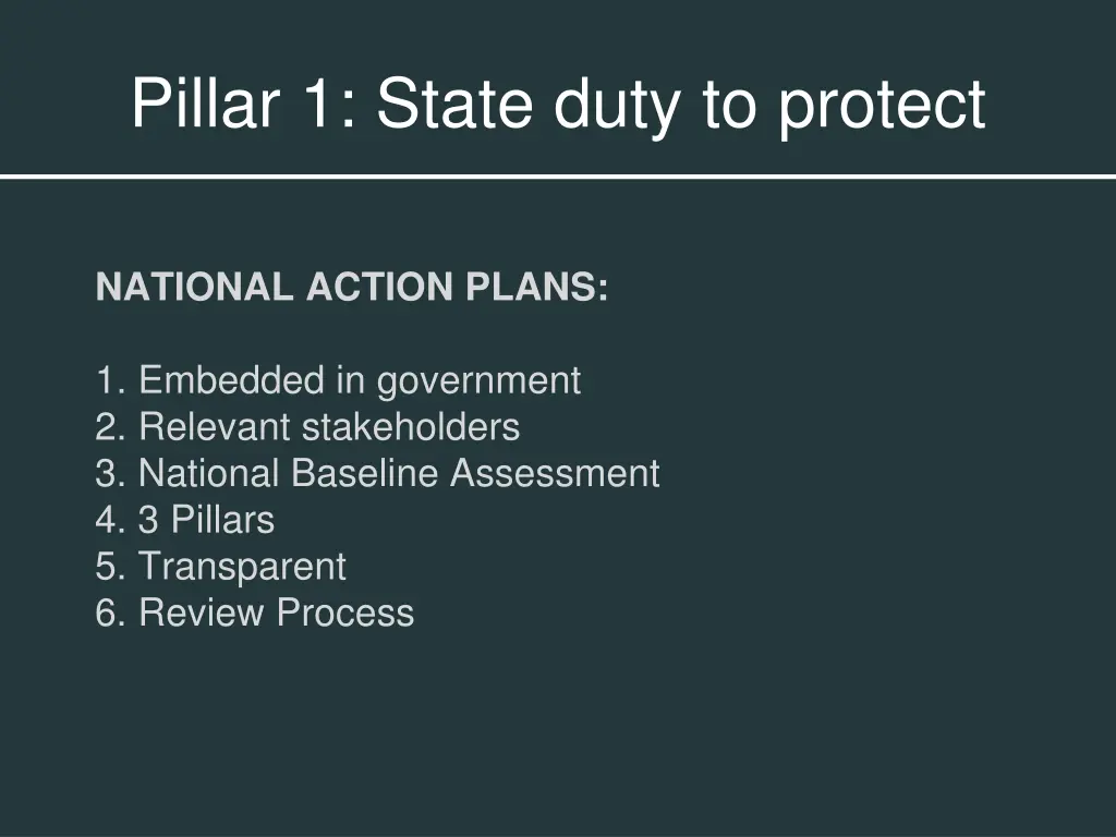 pillar 1 state duty to protect 2