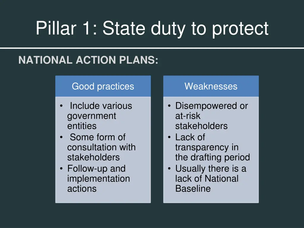 pillar 1 state duty to protect 3