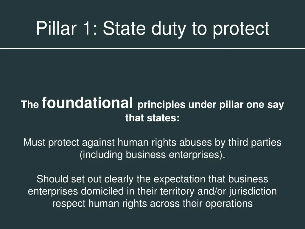 pillar 1 state duty to protect