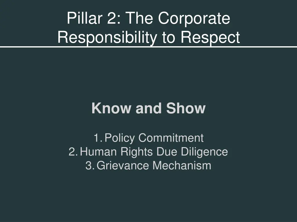 pillar 2 the corporate responsibility to respect 1