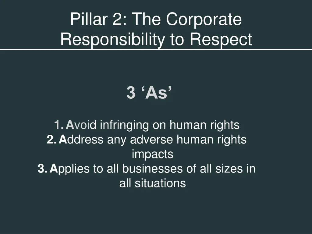 pillar 2 the corporate responsibility to respect