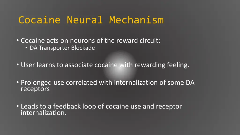 cocaine neural mechanism 3