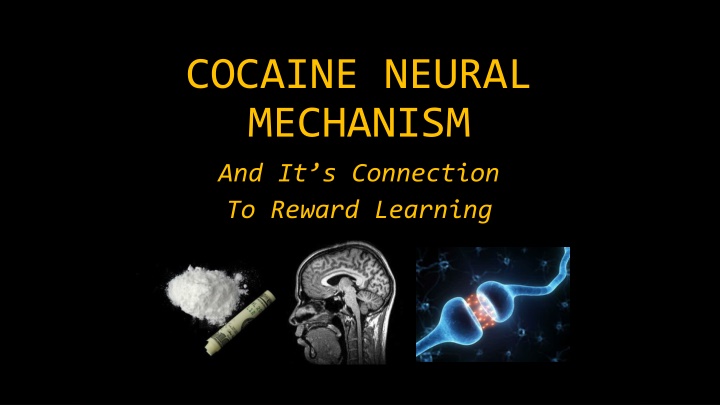 cocaine neural mechanism and it s connection