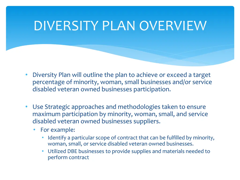 diversity plan overview 1