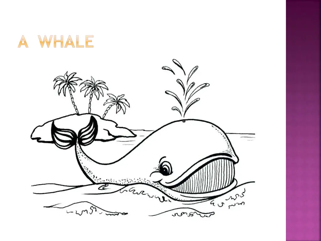 a whale