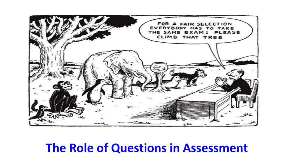 the role of questions in assessment