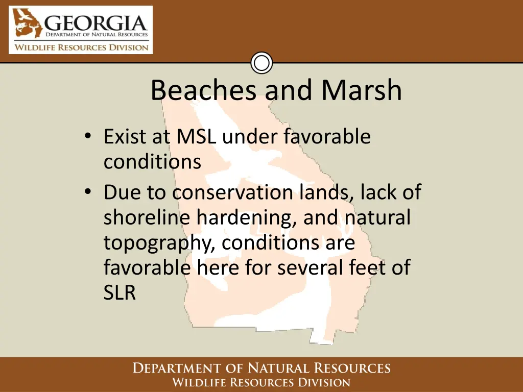 beaches and marsh