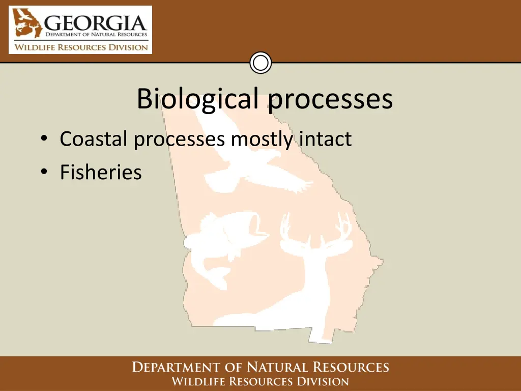 biological processes coastal processes mostly