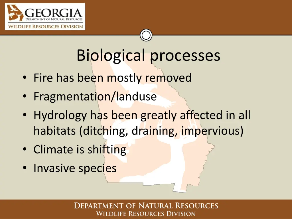 biological processes fire has been mostly removed