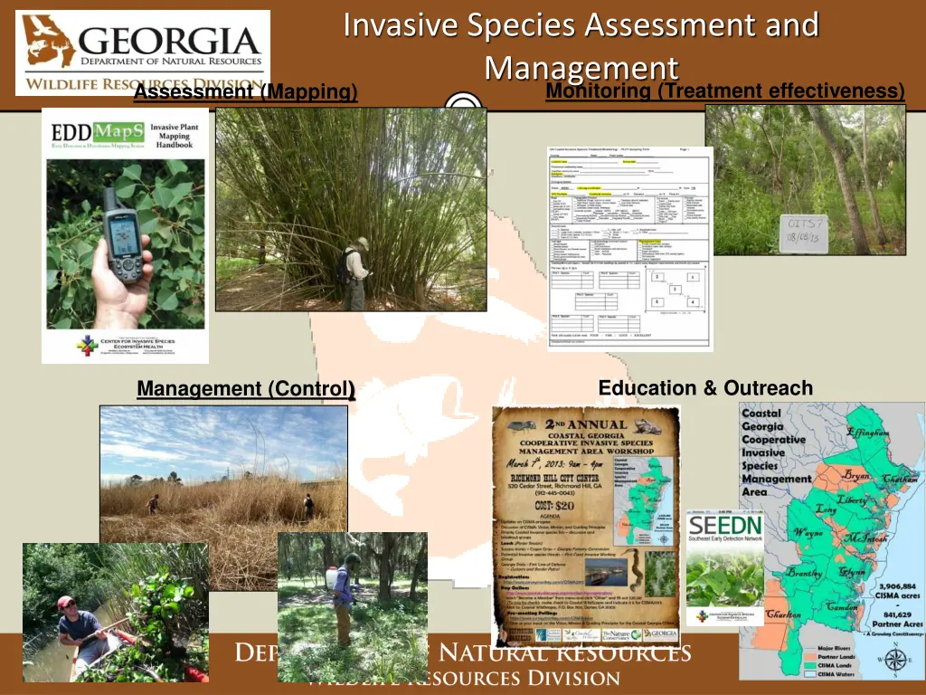 invasive species assessment and management