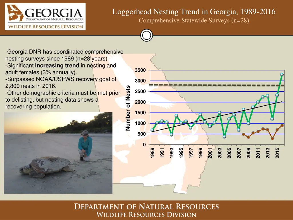 loggerhead nesting trend in georgia 1989 2016