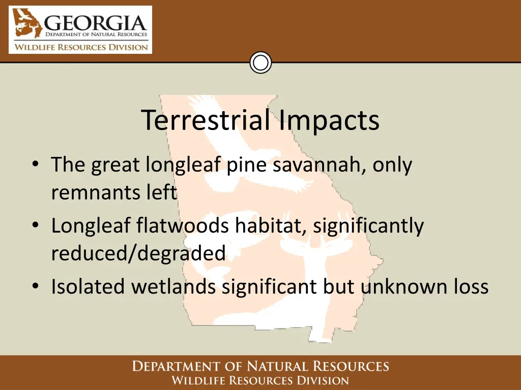 terrestrial impacts