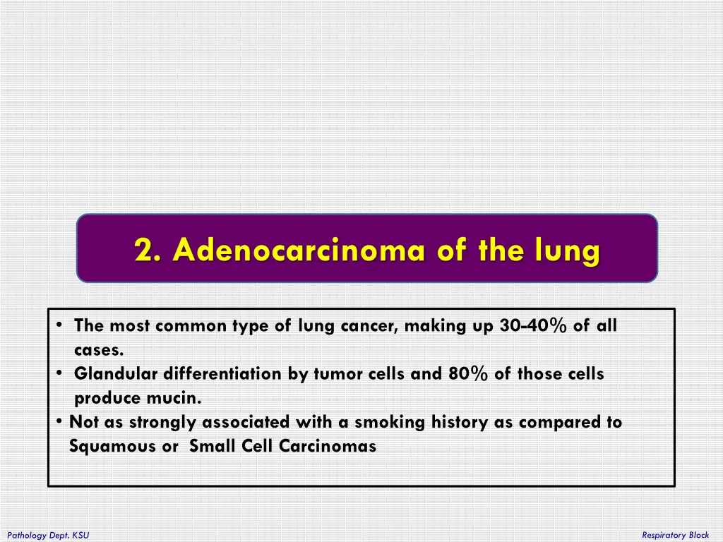 2 adenocarcinoma of the lung