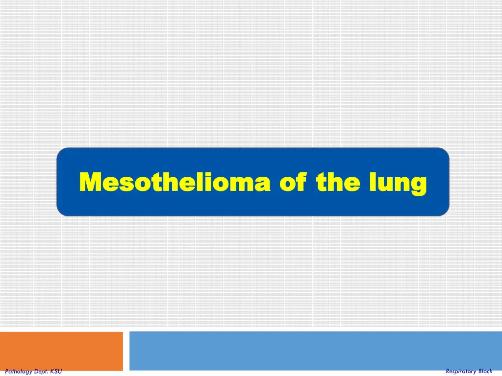 mesothelioma of mesothelioma of the lung