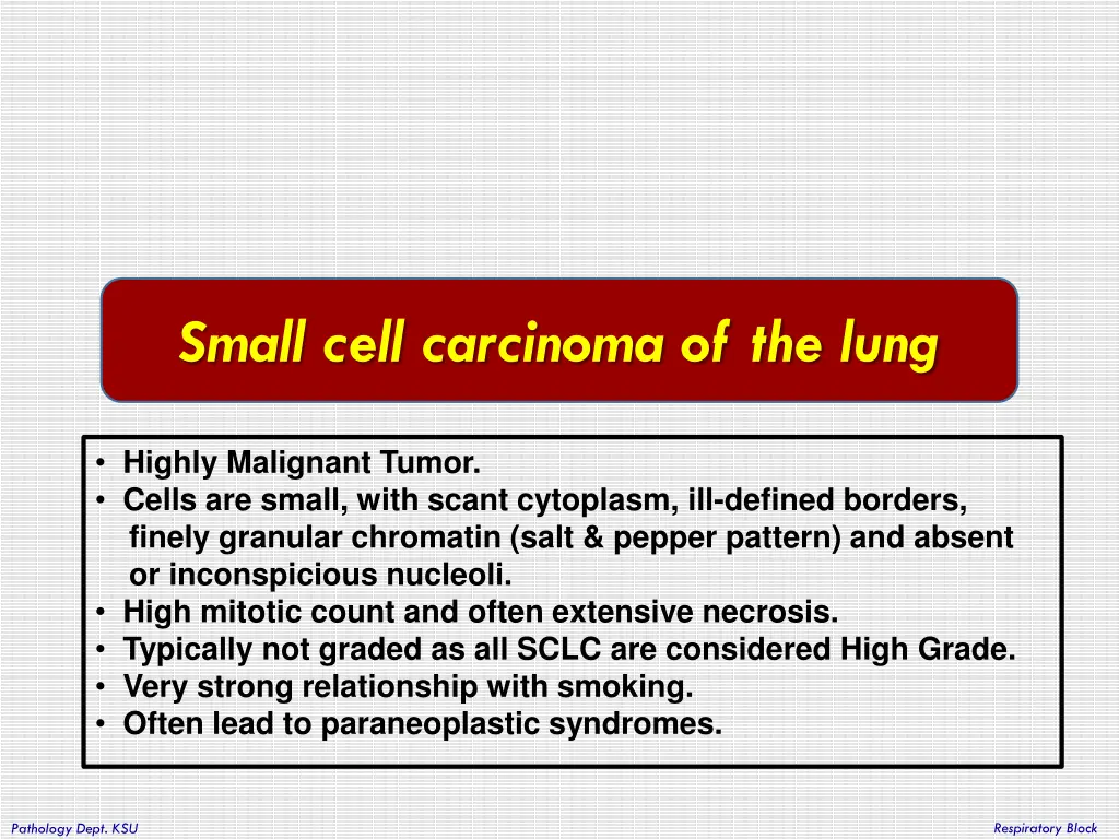 small cell carcinoma of the lung