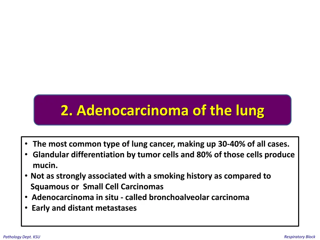 2 adenocarcinoma of the lung