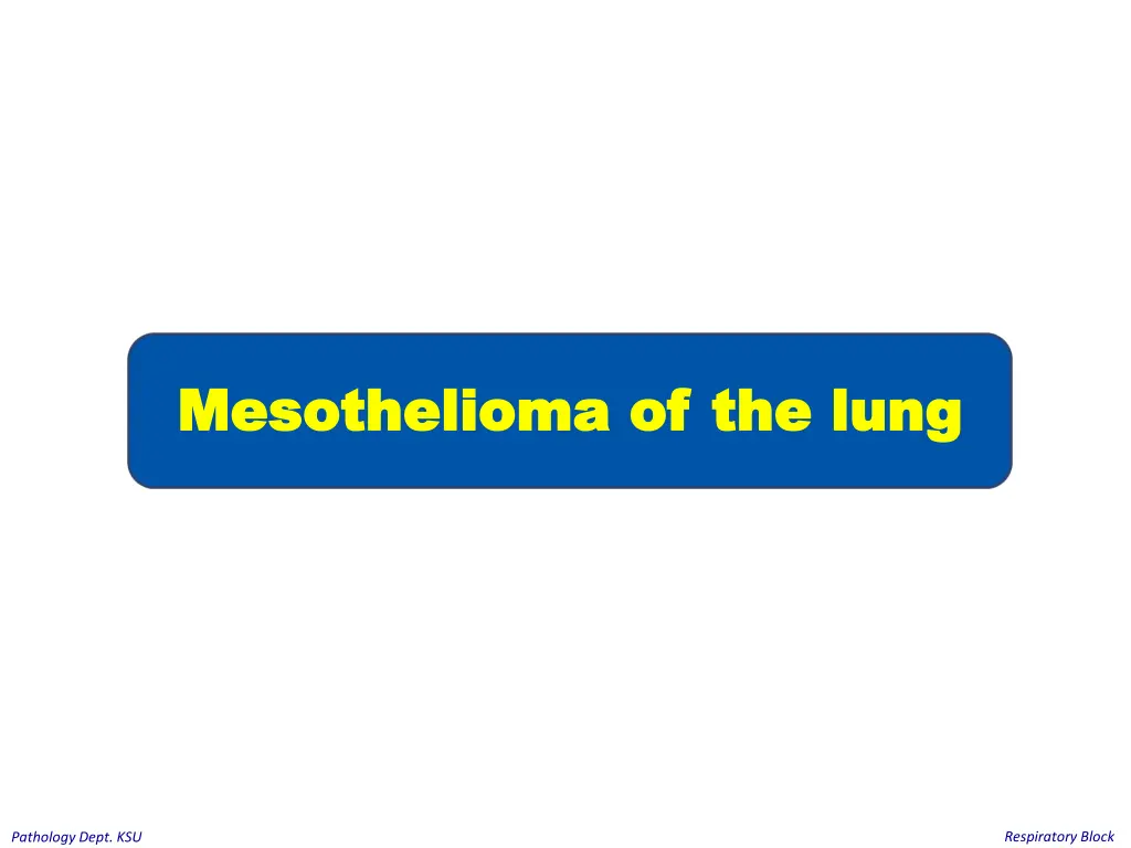 mesothelioma of mesothelioma of the lung